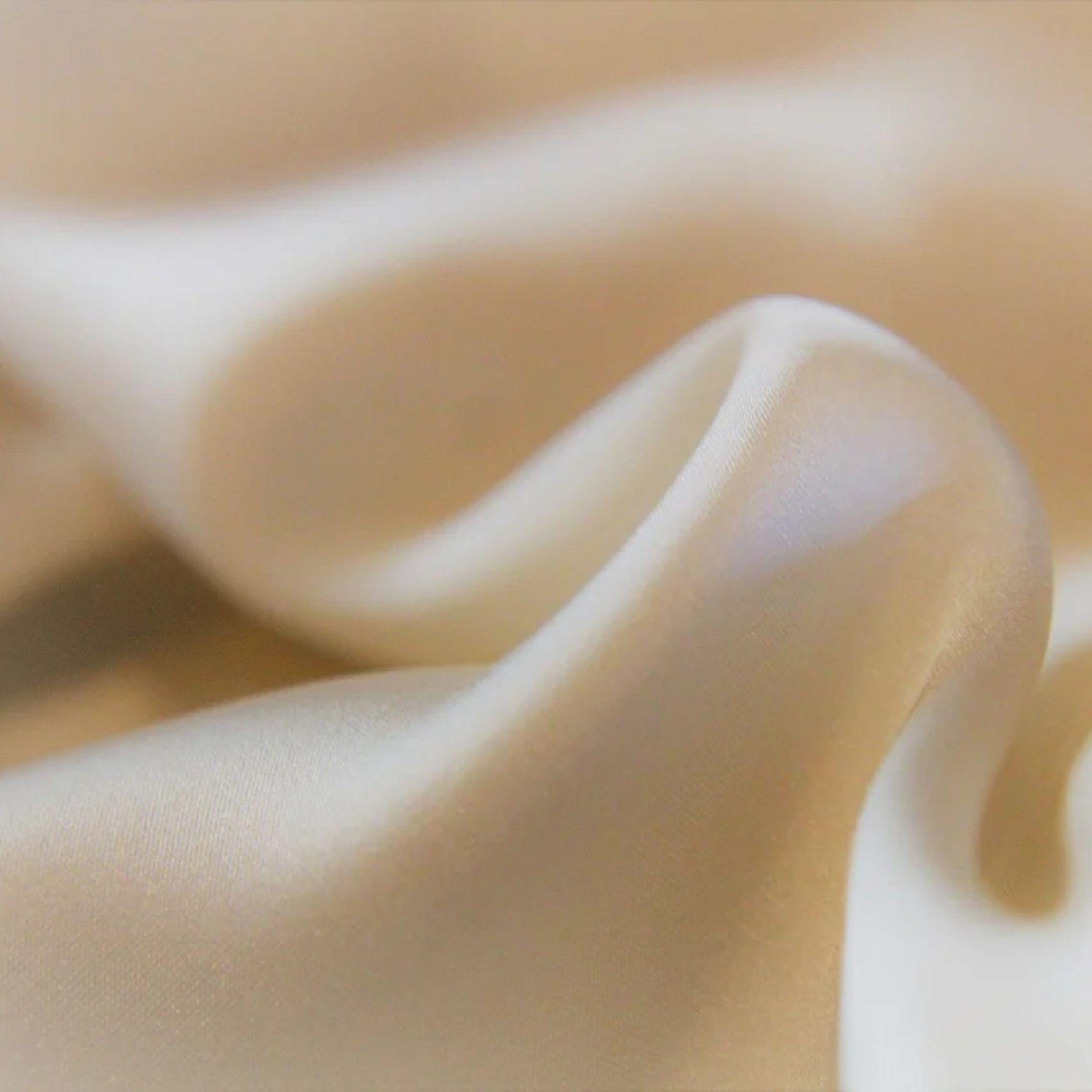 Differenza tra seta di gelso e altri tipi di seta